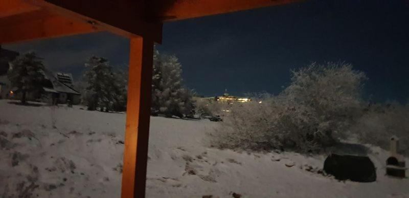 Holzblockhaus Magdalena Villa Altenberg Buitenkant foto